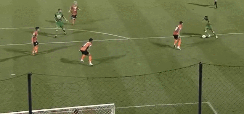 1582034886717787.gif 4.gif