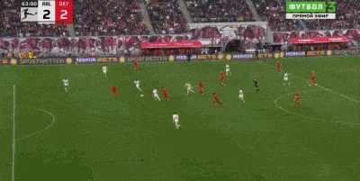 5.gif