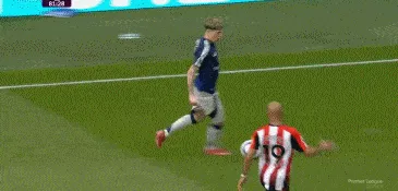7.gif