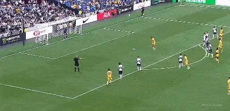 5.gif