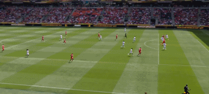 5.gif