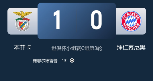 世俱杯-本菲卡1-0拜仁小组头名出线，施耶德鲁普制胜
