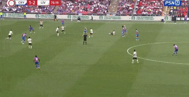 5.gif